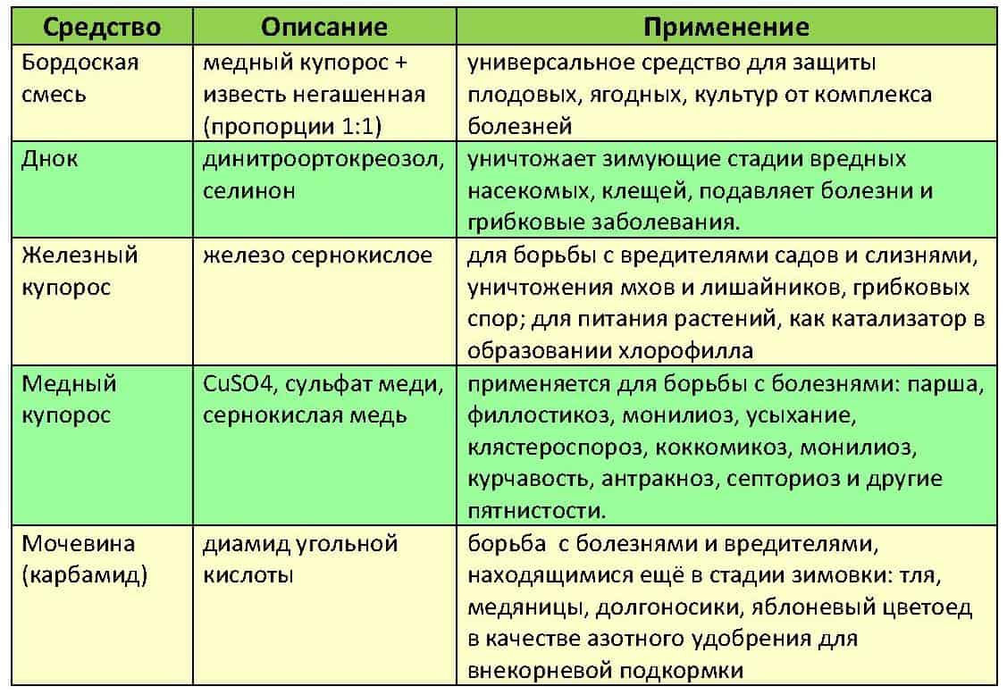 Схема обработки вишни от болезней и вредителей