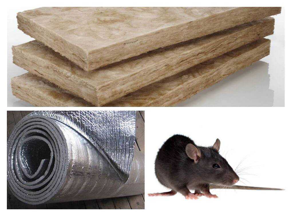 Какой утеплитель не грызут мыши: обзор материалов, методы защиты от грызунов. живут ли мыши в стекловате