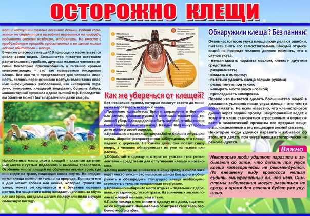 Исследование клещей