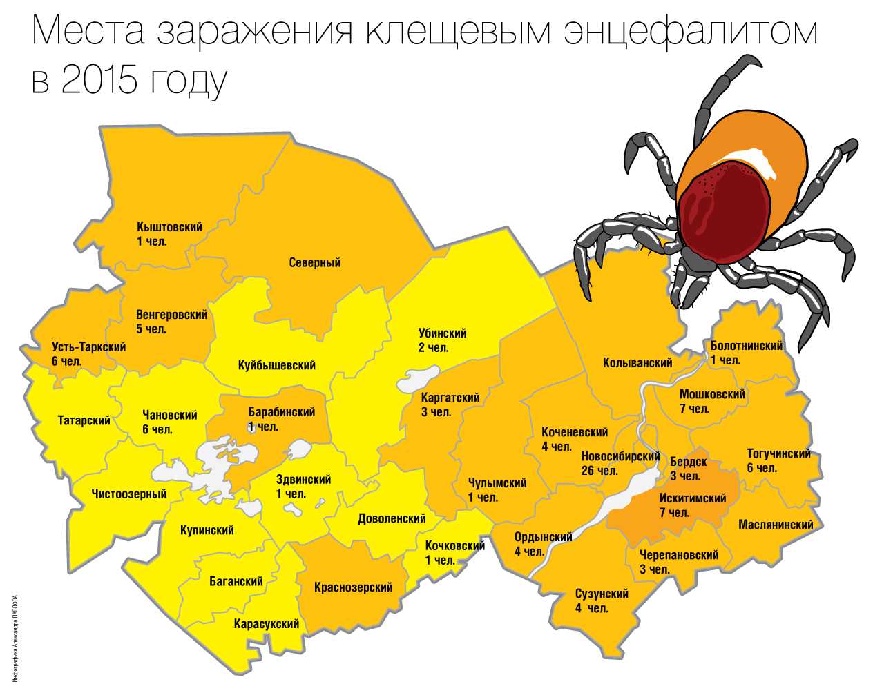 Крымская геморрагическая лихорадка  - симптомы болезни, профилактика и лечение крымской геморрагической лихорадки, причины заболевания и его диагностика на eurolab