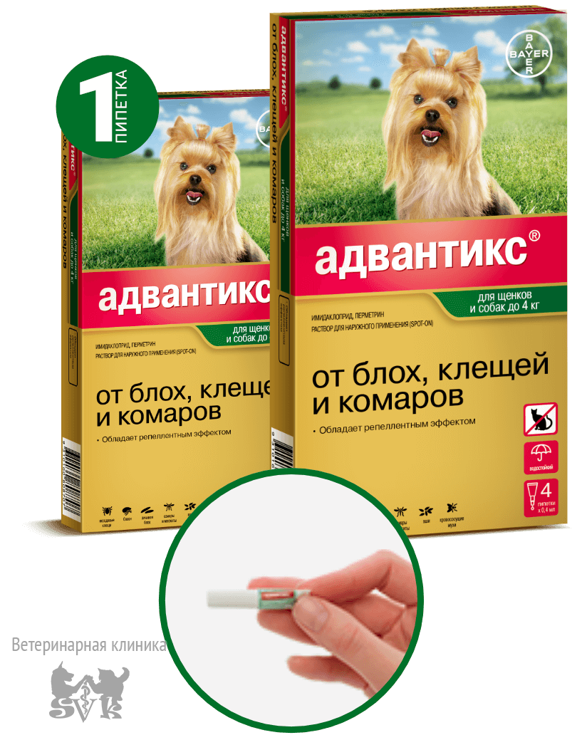 Адвантикс капли для собак до 4 кг. Адвантикс 40 для собак до 4 кг. Капли от блох и клещей для собак Адвантикс. Адвантикс капли от блох, клещей, комаров для собак до 4 кг 4 пипетки.