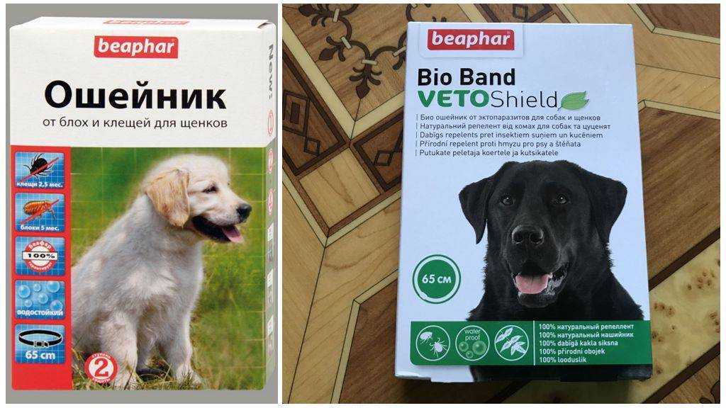 Лучшие средства от клещей для собак рейтинг. Beaphar ошейник от блох и клещей. Беафар ошейник для собак от блох и клещей. Beaphar Bio Band ошейники для собак. Ошейник Beaphar производитель.