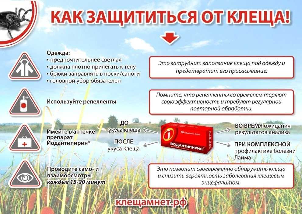 Клещ карта как пользоваться