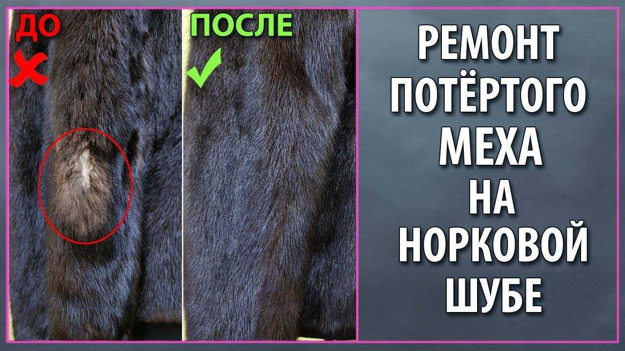 Как надежно уберечь норковую шубу от моли