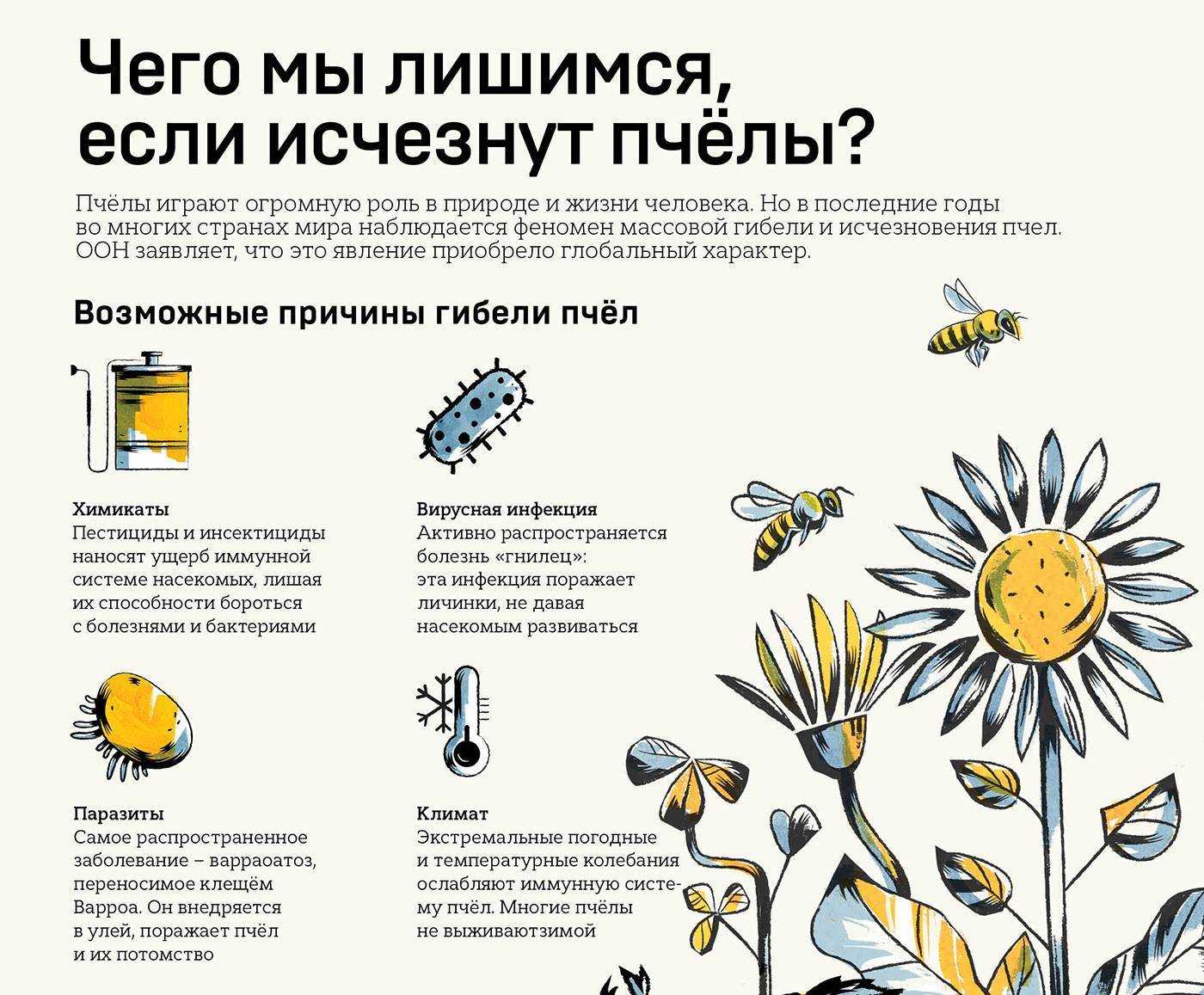 Как спасти пчел - агроэкомиссия - цифровая платформа знаний