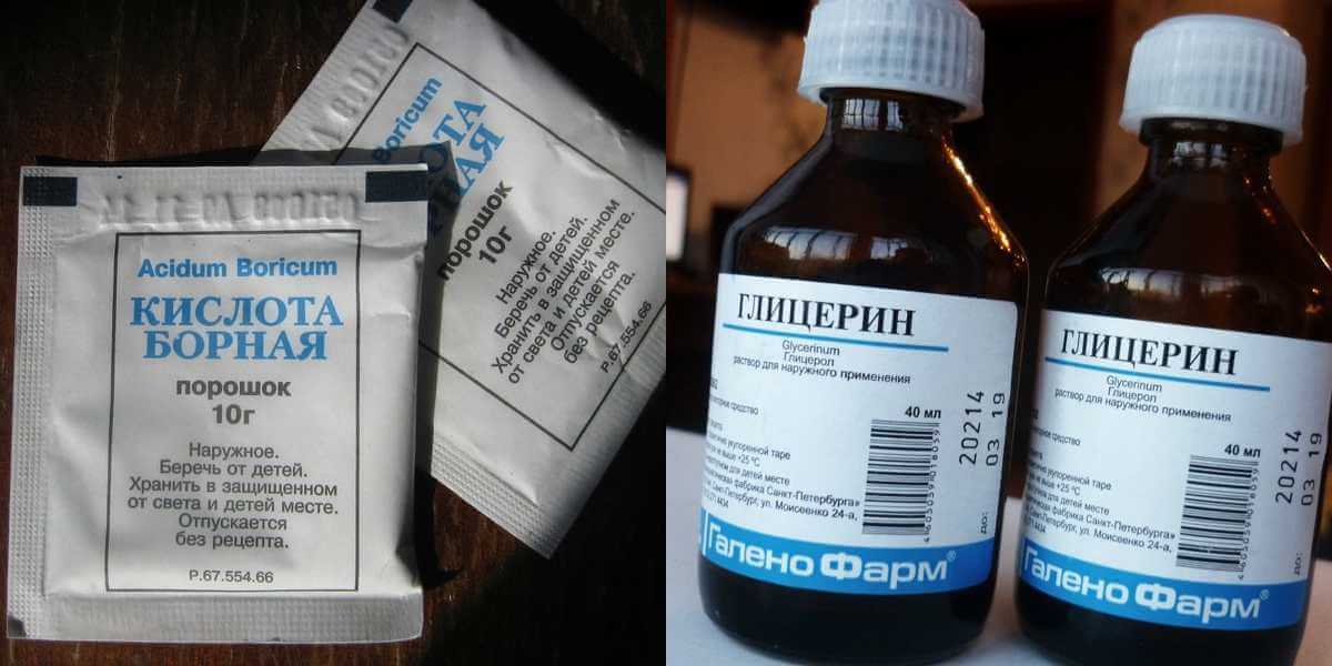 Как травить муравьёв борной кислотой: действуем эффективно и безопасно