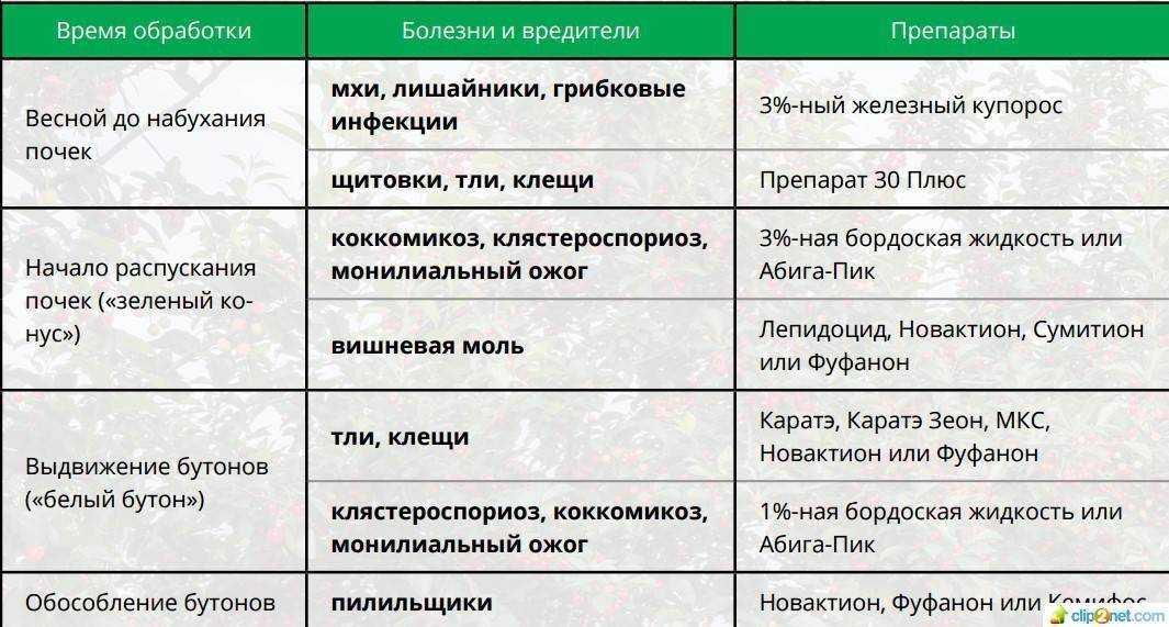 Борьба с гусеницами в саду и на огороде: как избавиться, препараты