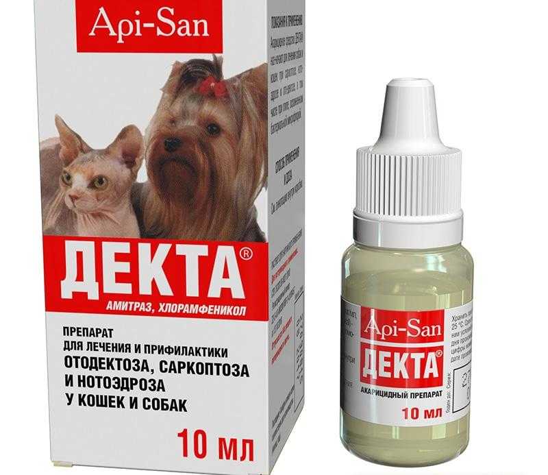 Симптомы отодектоза у собак, план лечения, местные и системные препараты