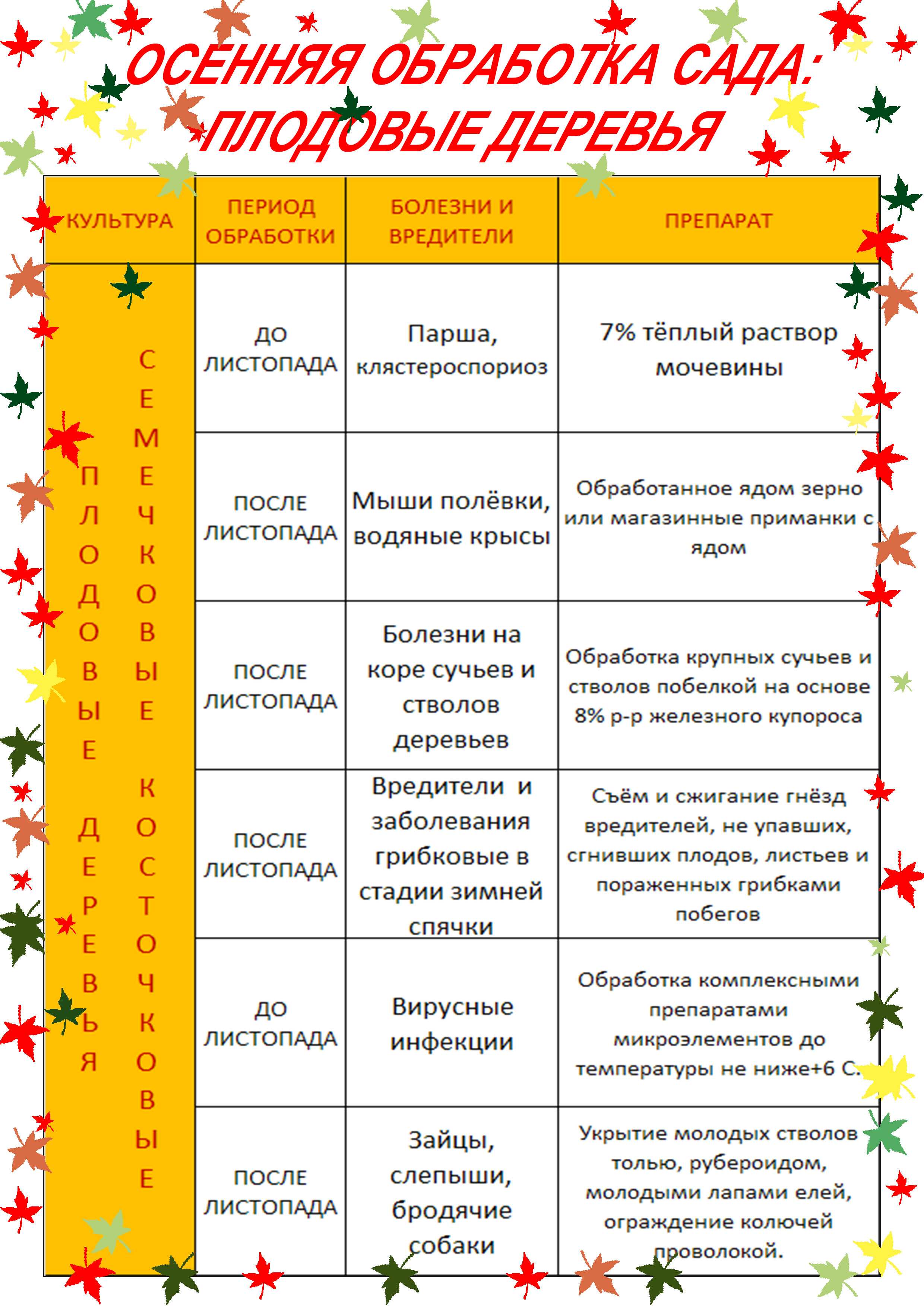 Схема обработки сада с весны до осени