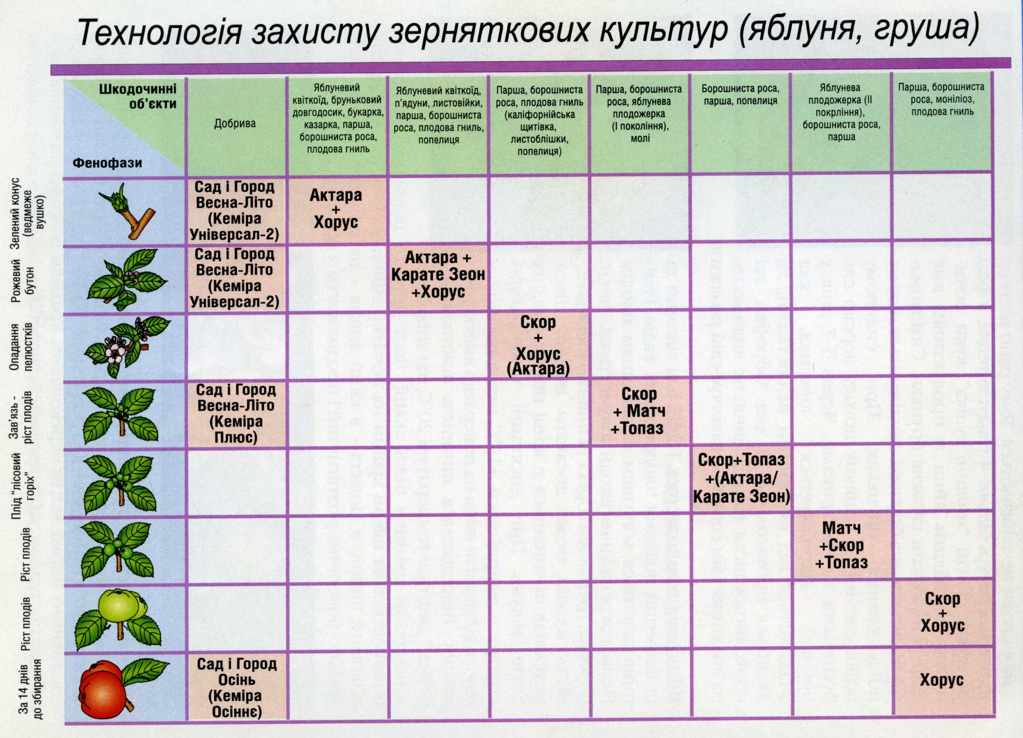 Схема обработки яблонь от болезней и вредителей