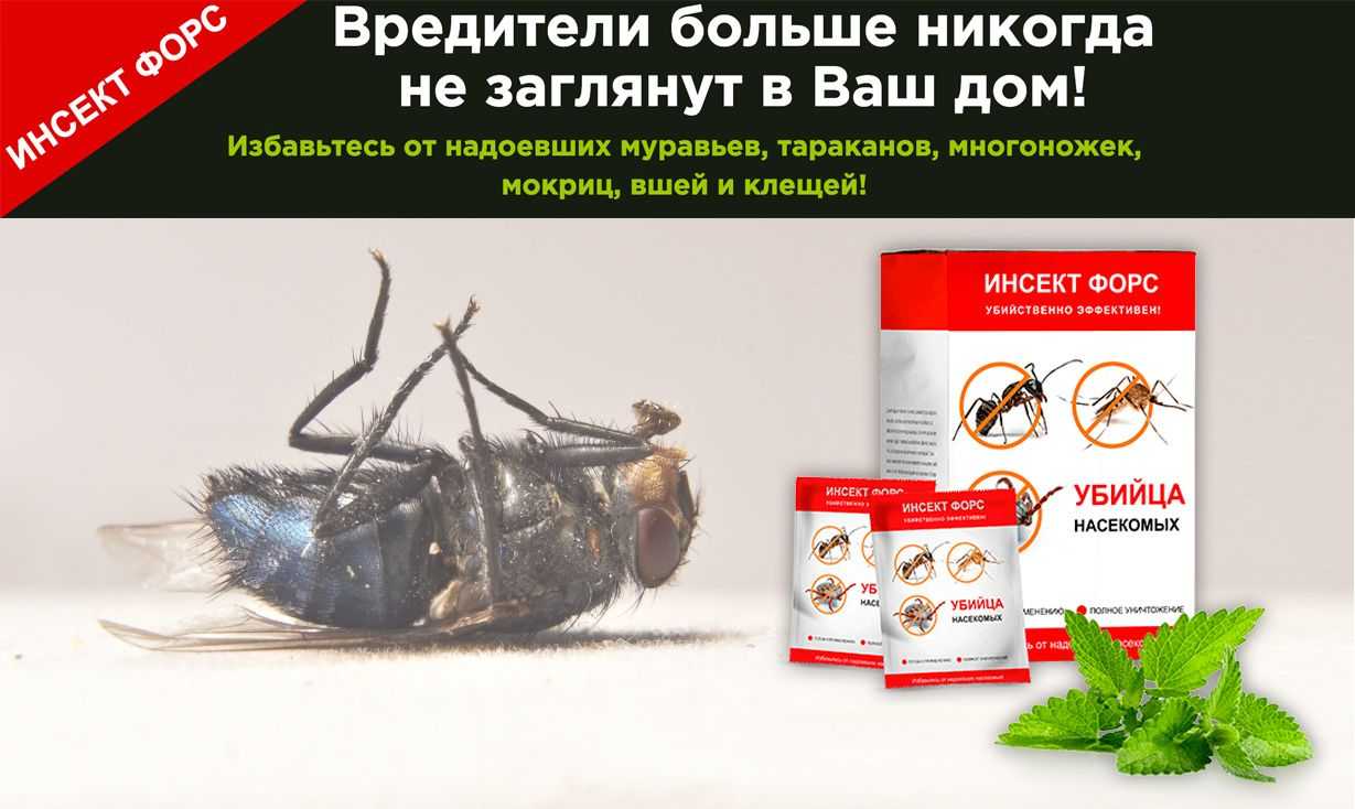 Средства от насекомых в доме - отзывы, народные и электронные средства для защиты