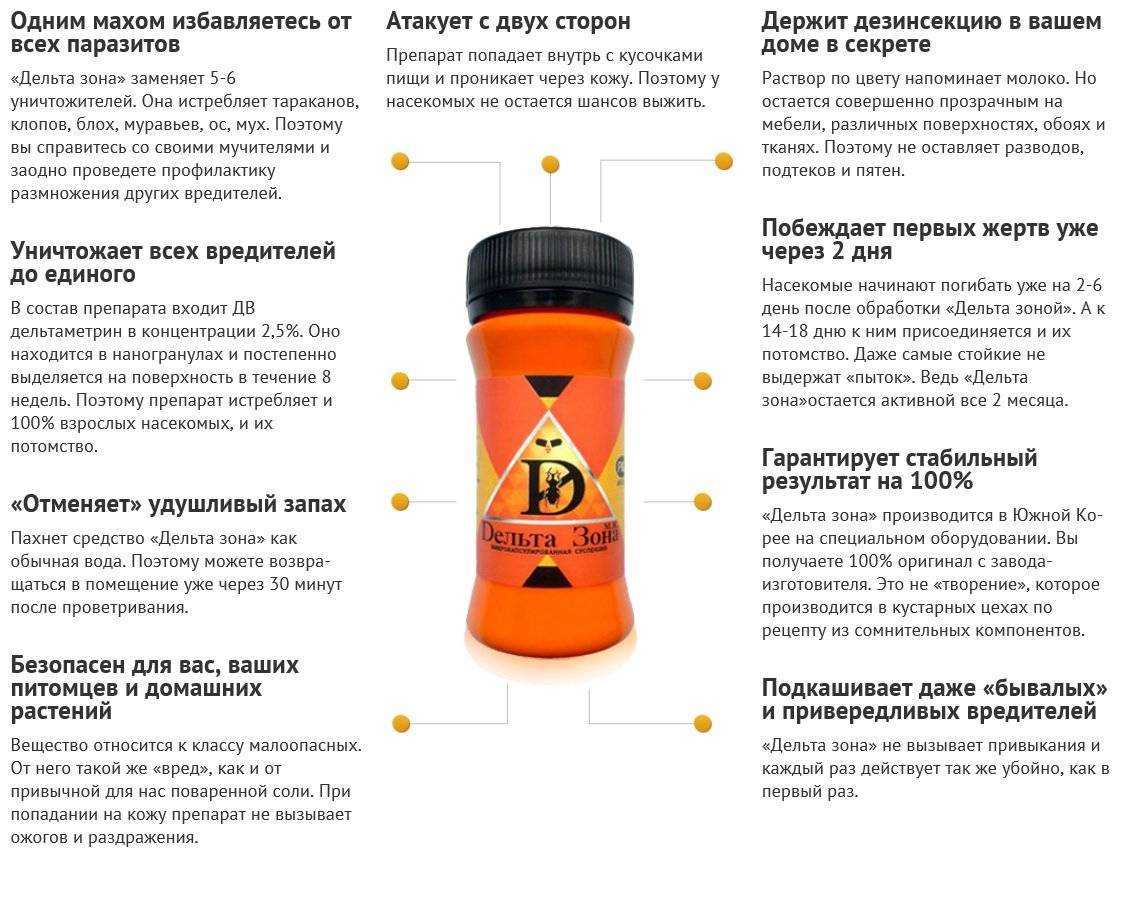 Про «дезинфекцию» от тараканов и важные правила ее проведения в квартире - сэс