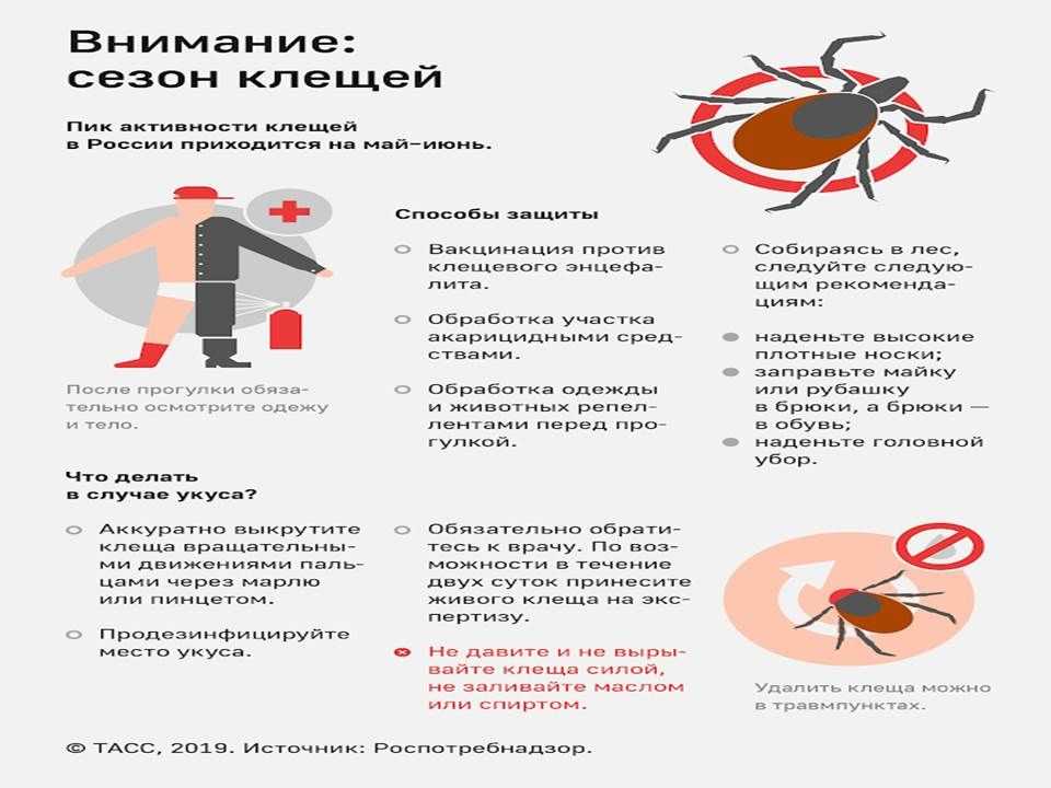 Карта укусов клещей