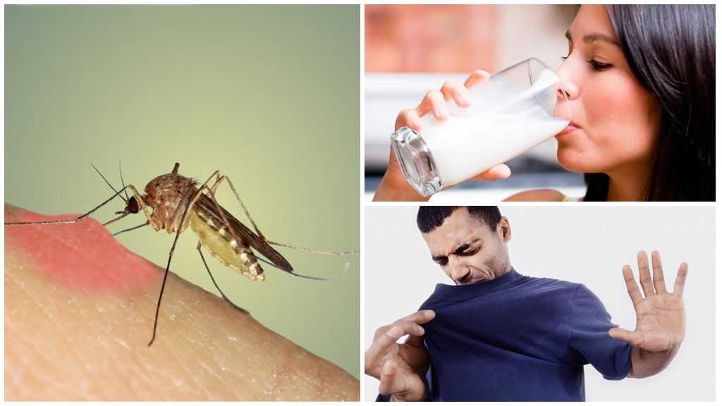 Как помогает комар волосами