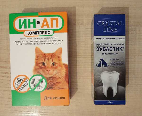 Капли от блох для кошек