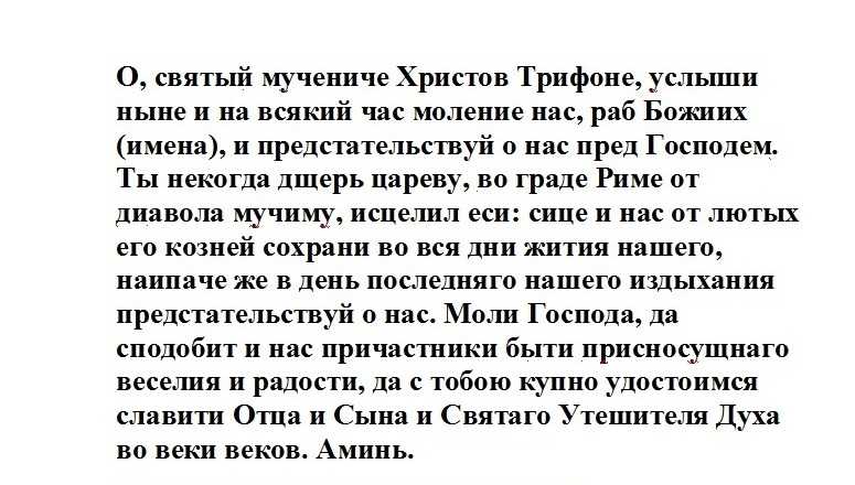 Заговор, чтобы избавиться от тараканов навсегда - инструкция по применению