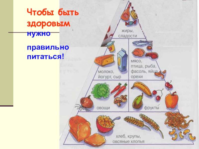 Как эффективно бороться с белками: рацион питания и образ жизни белок, описание лучших способов борьбы, выбор наиболее гуманного и эффективного метода