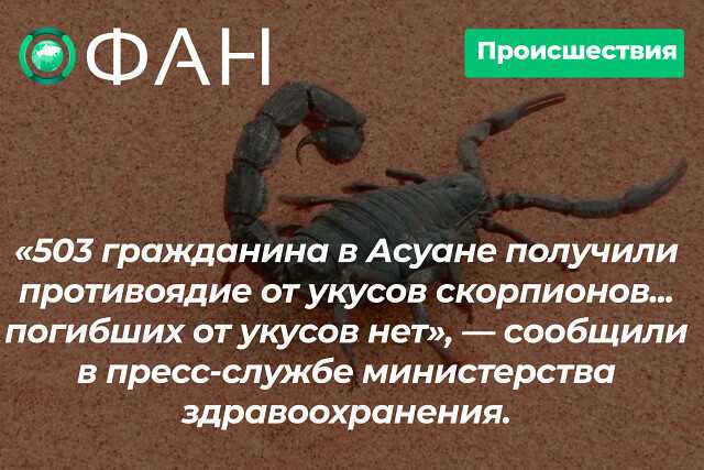 Все, что нужно знать об укусе скорпиона