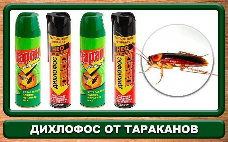 Эффективен ли Дихлофос для уничтожения тараканов в квартире Как правильно использовать это средство и о чем следует помнить Отзывы покупателей о Дихлофосе