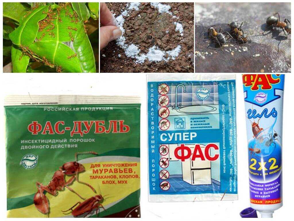 Обзор средств фас от тараканов: инструкция по применению, меры безопасности при работе, отзывы потребителей