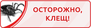 Порядок обращения граждан за медицинской помощью в случае обнаружения присосавшегося клеща - больница боткина