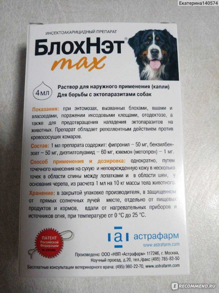 Какой запах не любят собаки, не переносят, какой их отпугивает от клумб, огорода, спрей для отпугивания