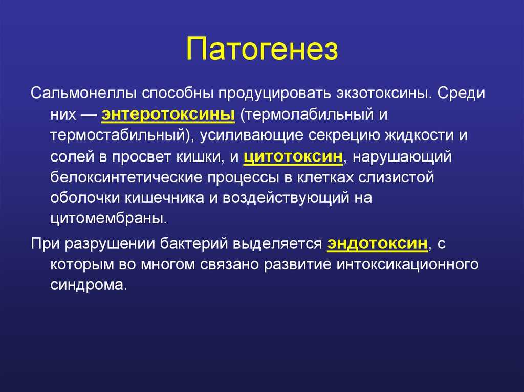 Муха обыкновенная