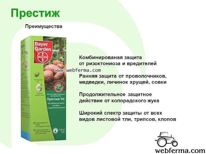 Эффективные способы, как избавиться от проволочника на участке с картофелем: обзор препаратов, народных средств и полезных рекомендаций