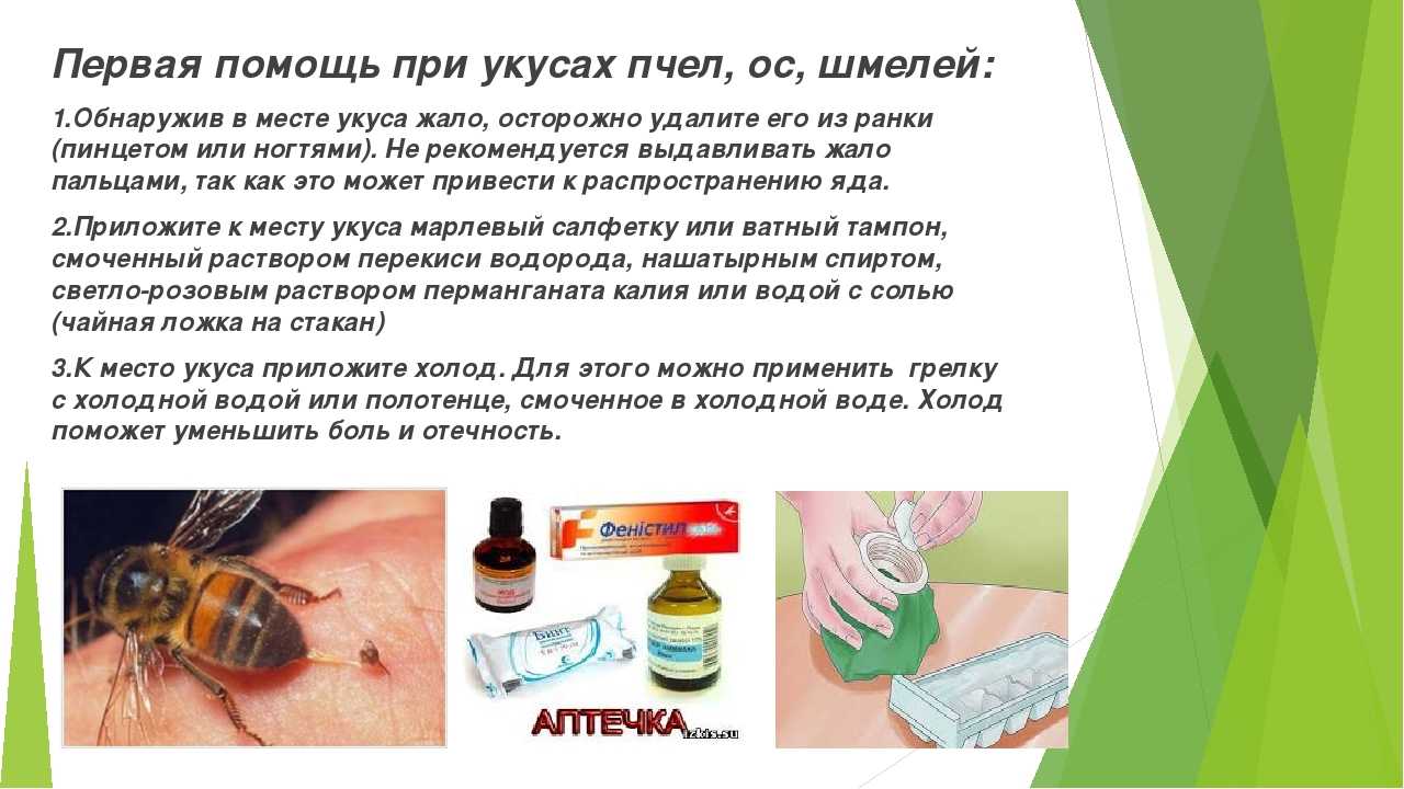 Укус сколопендры или сороконожки: как выглядит, последствия для человека?