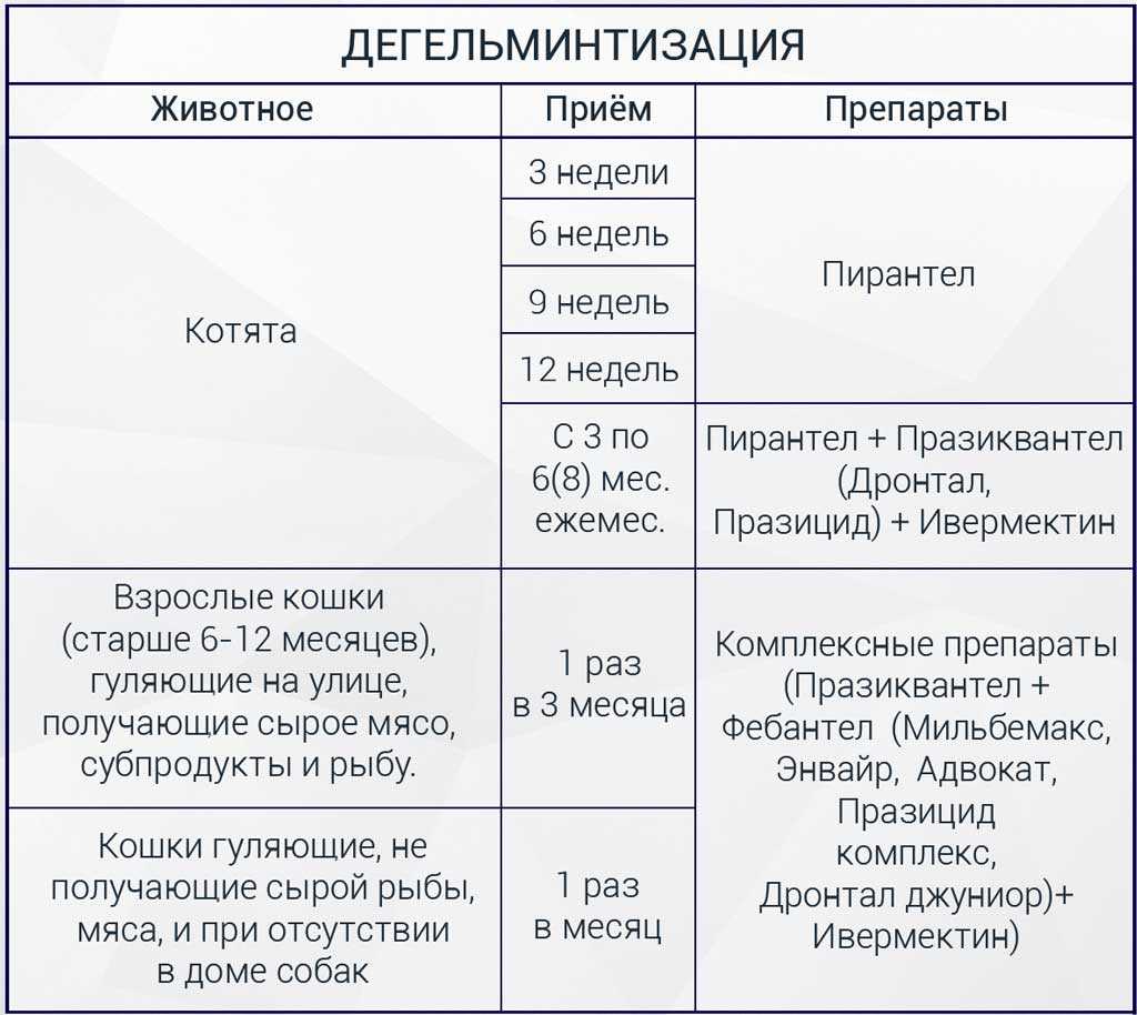Как действуют прививки