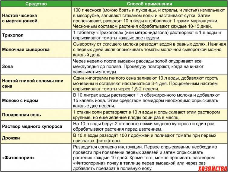 Как приготовить раствор из чеснока для опрыскивания огурцов от тли