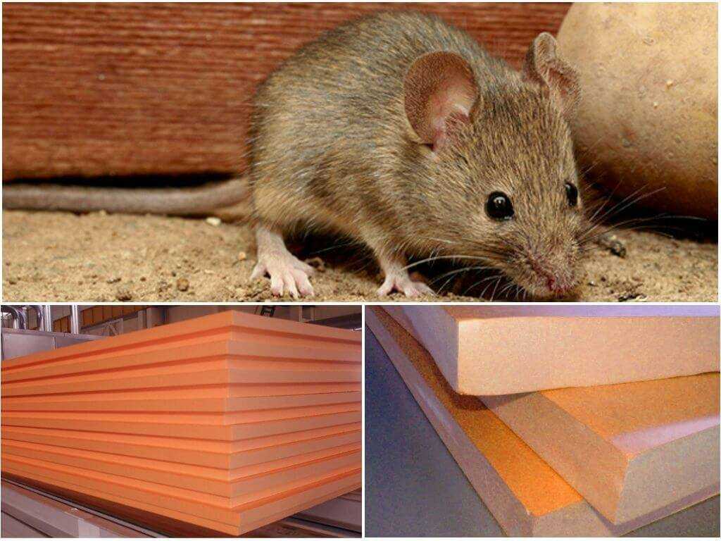 Какой утеплитель не грызут мыши и крысы: топ материалов