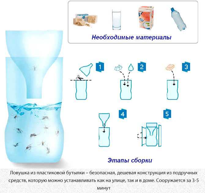 Ловушка для ос из пластиковой бутылки | [инструкция]
