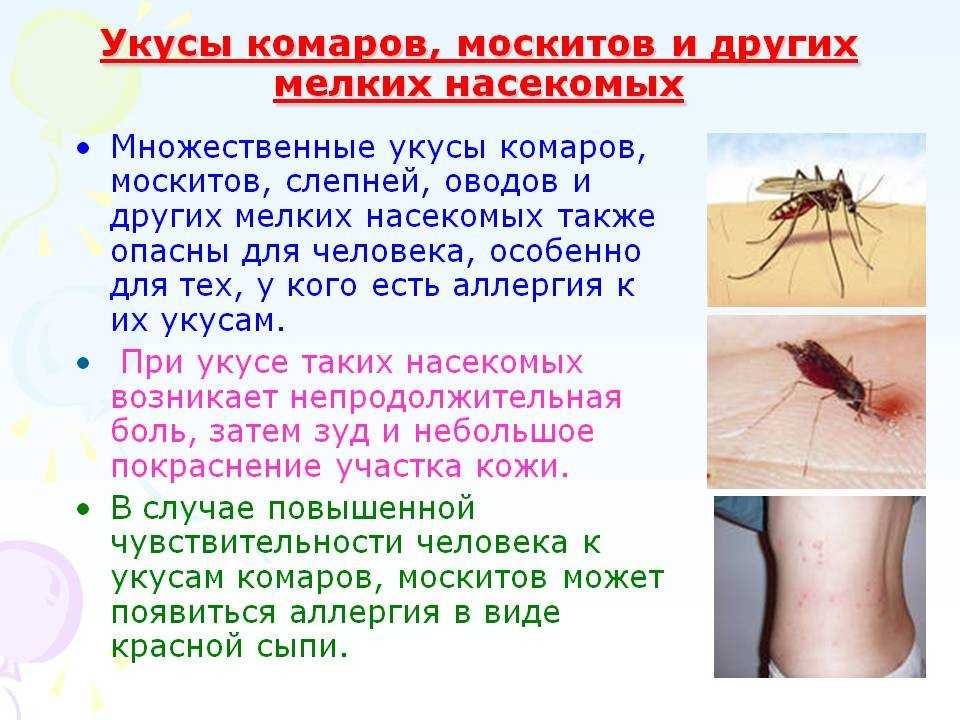 Аллергия на насекомых - симптомы, причины, профилактика и лечение