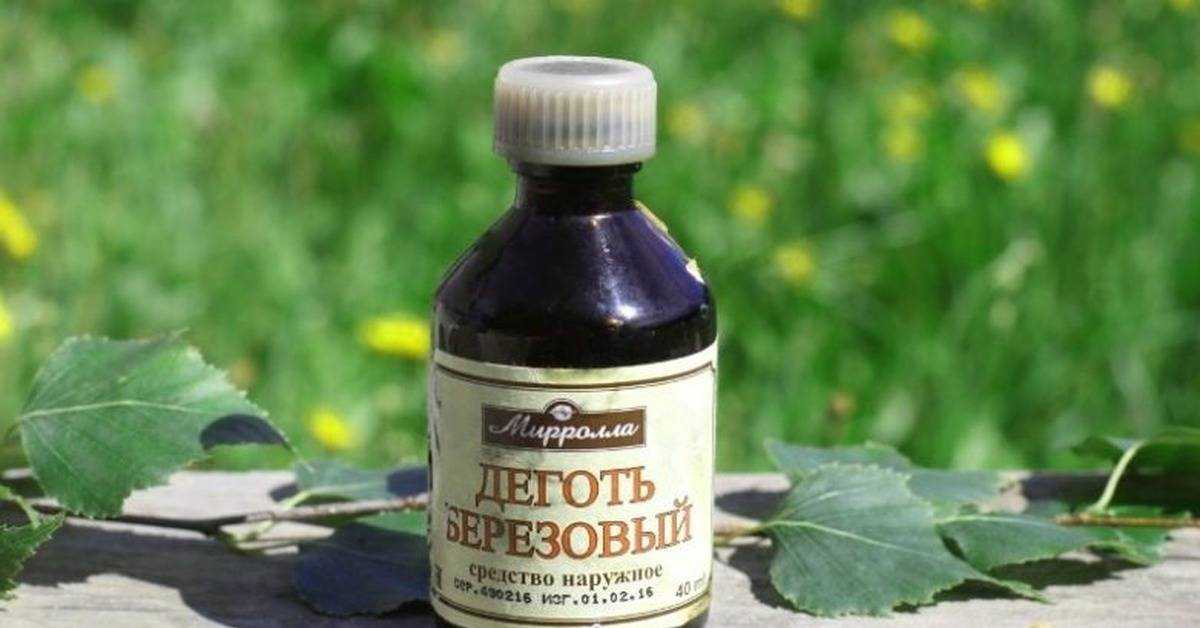 Сода от муравьев в квартире варианты применения