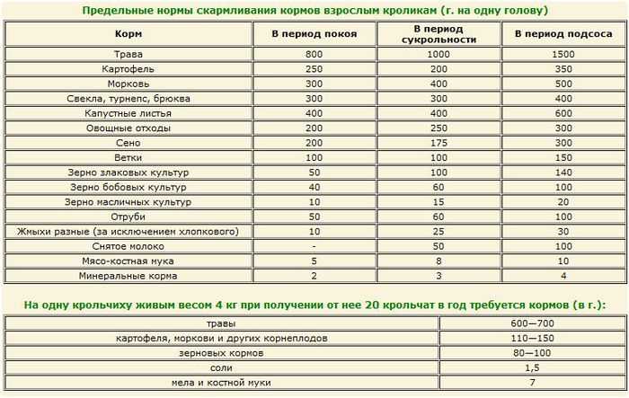 Прививки кроликам какие и когда делать схема для начинающих