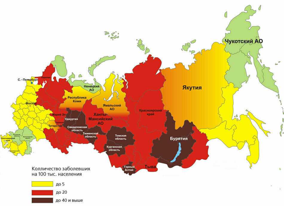 Где водятся энцефалитные клещи в россии карта охвата