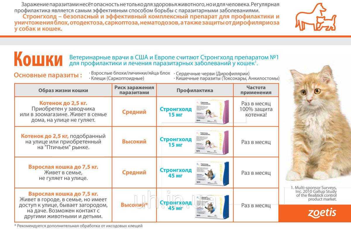 В каких случаях кошку не рекомендуется вакцинировать