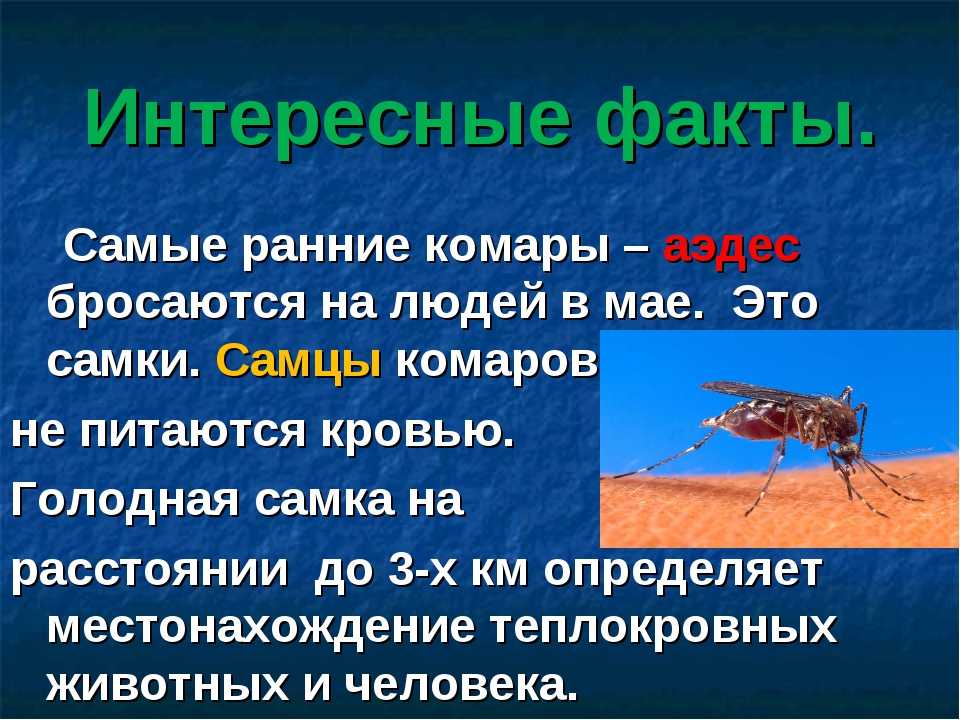 Кого любят кровопийцы - интересные факты - наука просто