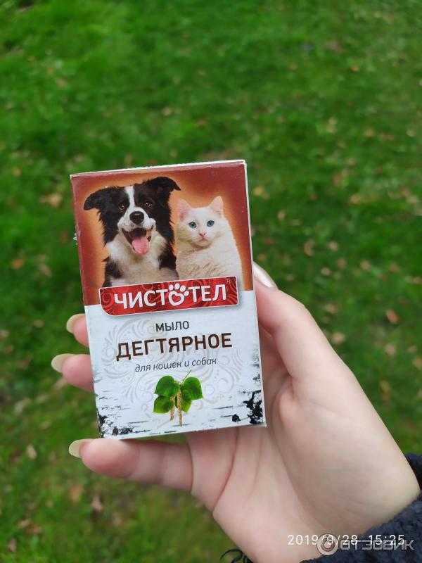 Дегтярное мыло от блох у кошек и собак: как применять и помогает ли оно?