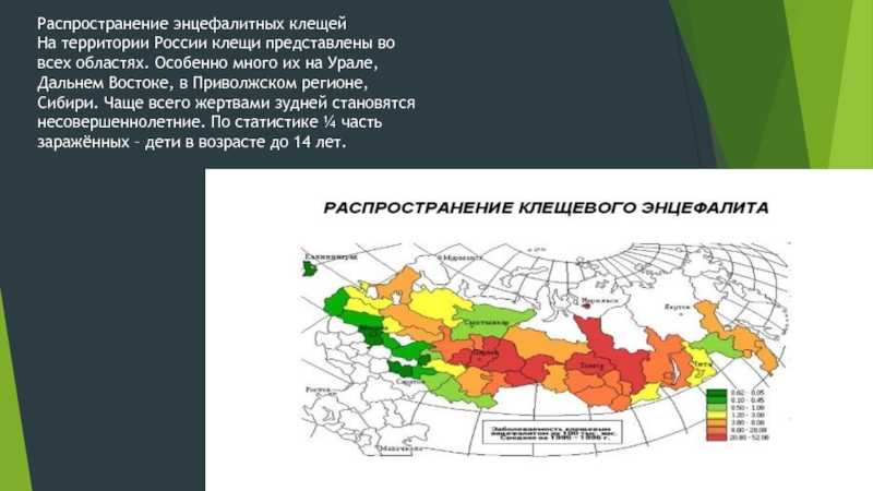 Где водятся энцефалитные клещи. Ареал обитания энцефалитного клеща. Ареал распространения энцефалитных клещей в России. Ареал клещевого энцефалита в мире. Ареал клещевого энцефалита в России 2021.