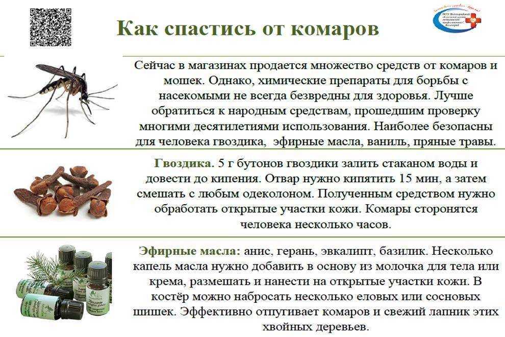 Чешуйница: как избавиться от насекомого в ванной, обзор различных средств борьбы с чешуйницей