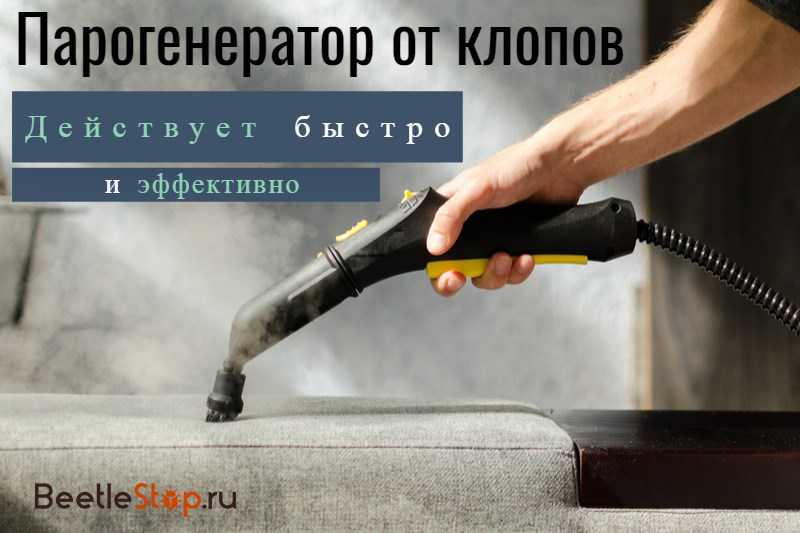 Уничтожение клопов паром в домашних условиях При какой температуре умирает клоп Можно ли самостоятельно уничтожить клопов отпаривателем