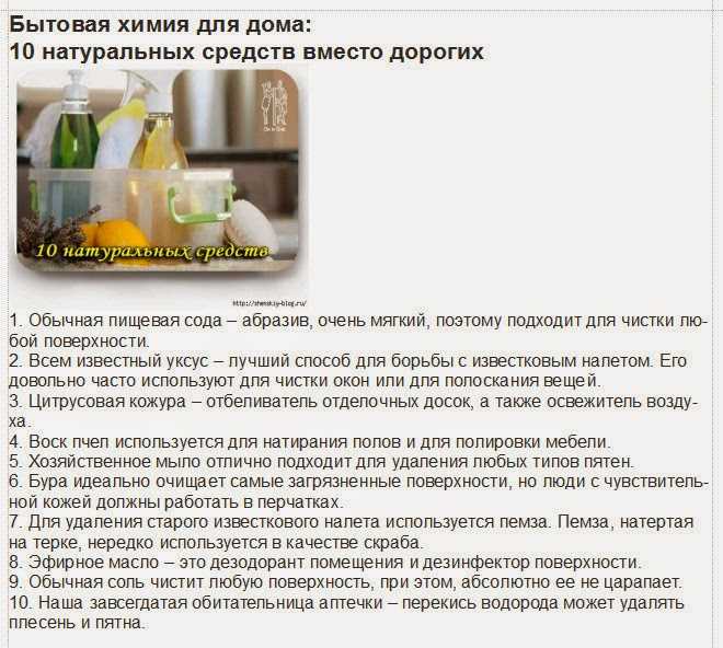 Как избавиться от блох в доме и квартире быстро и эффективно