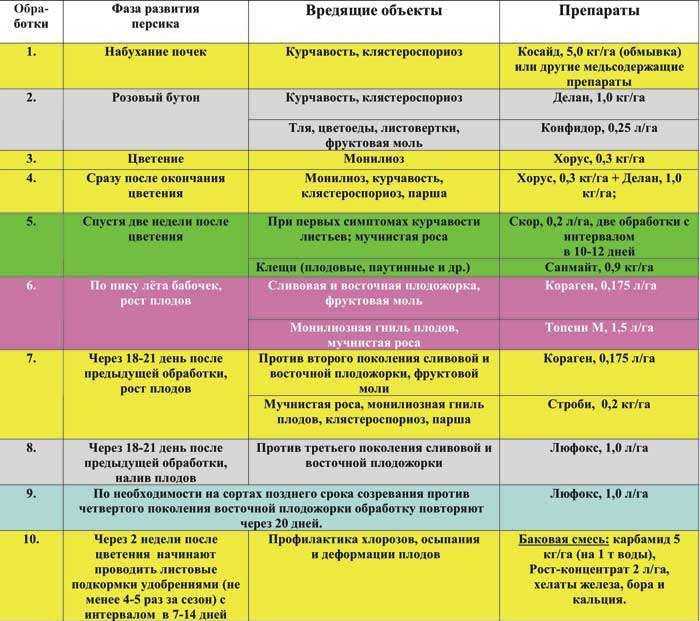 Схема опрыскивания плодовых деревьев с весны до осени