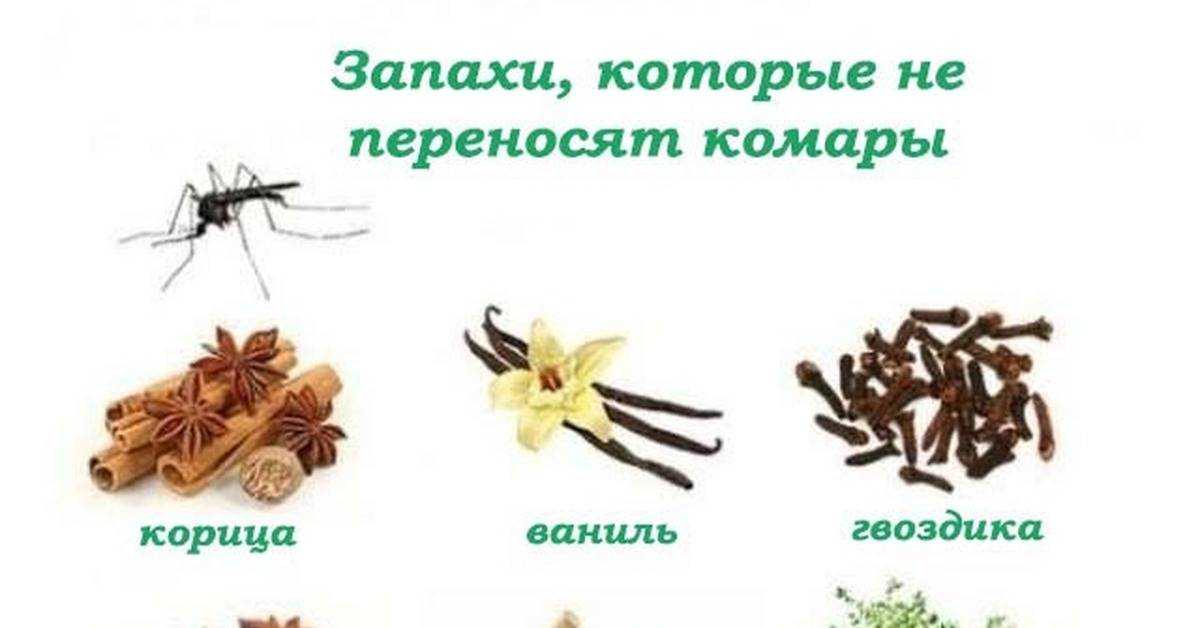 Цветы против вредителей: красота с пользой - дачные советы.ру