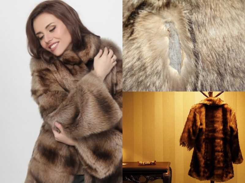 Что делать, если шубу начала есть моль? как защитить шубу?