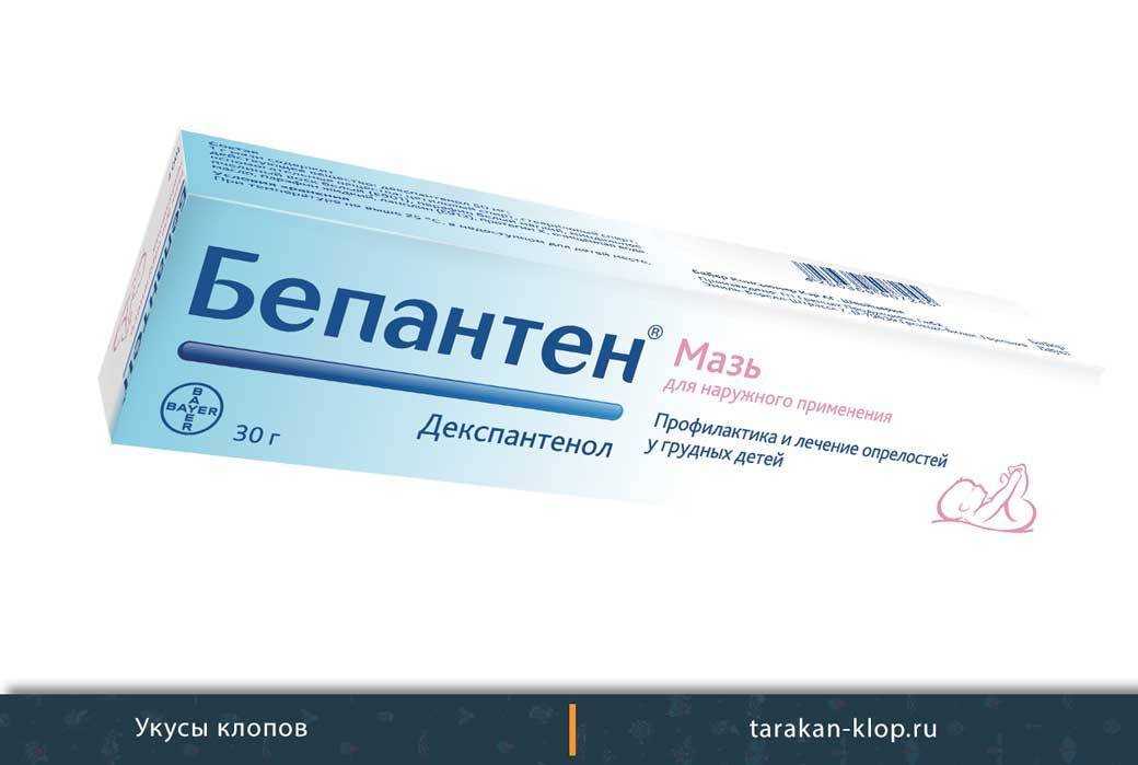 Укусы насекомых: как оказать первую помощь и когда обращаться к врачу | рязань