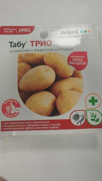 Как избавиться от колорадского жука на картошке