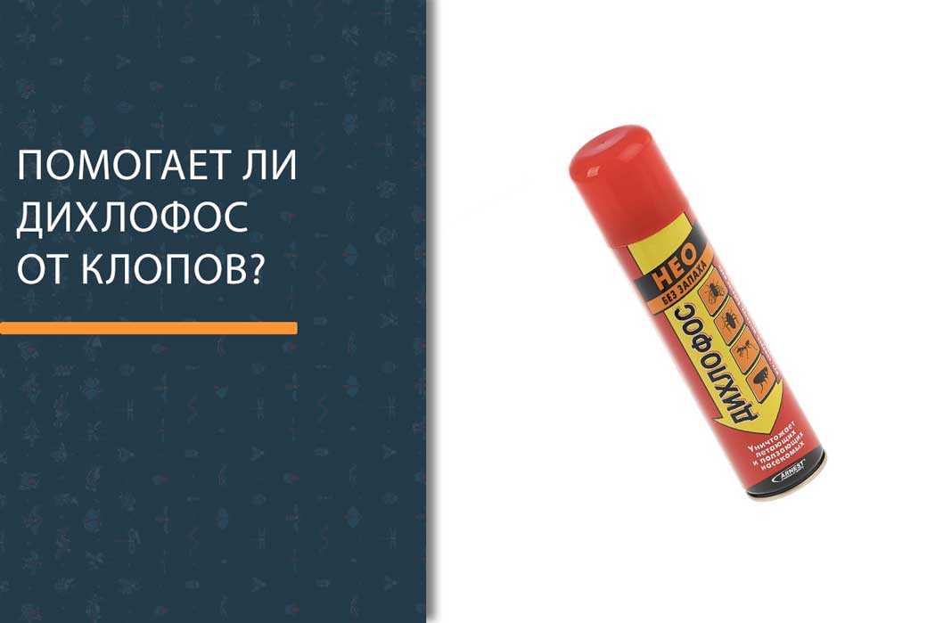 Дихлофос от клопов с запахом и без: инструкция по применению, эффективность